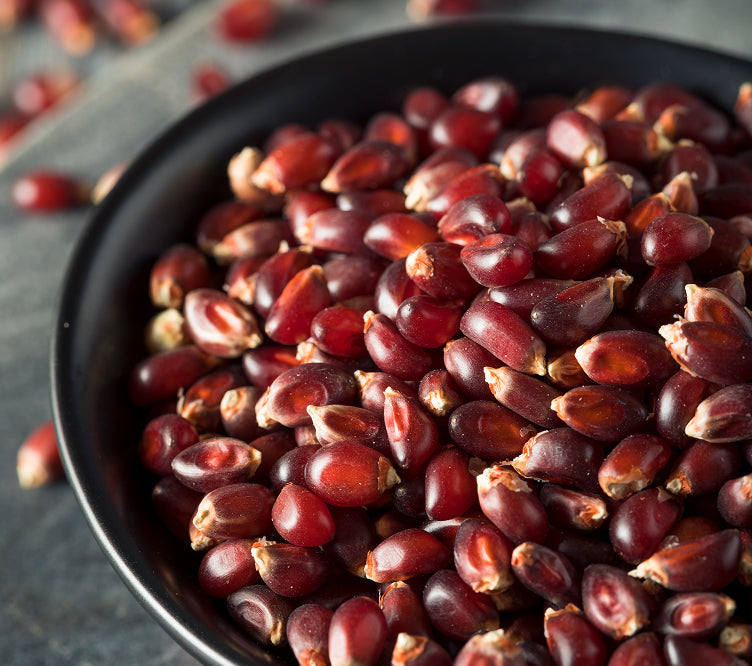 Non-GMO Red Corn